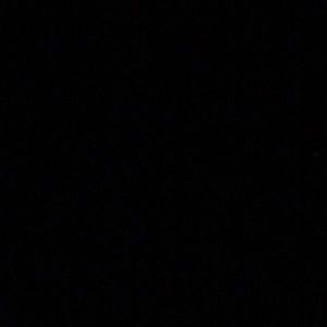 Meet your Posher, Lonni